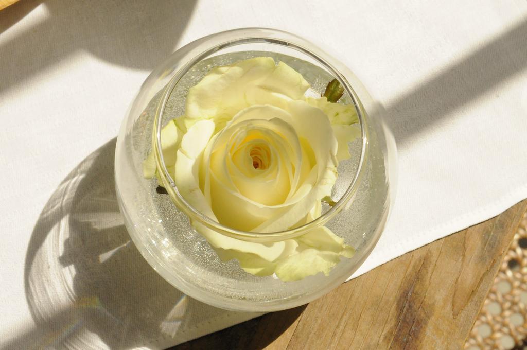 B&B Fine Fleur 브뤼헤 외부 사진